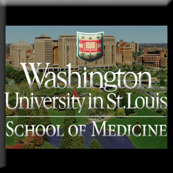 School of Medicine Webpage