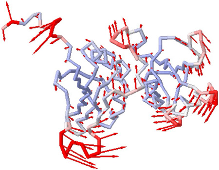 Kathleen Hall's research