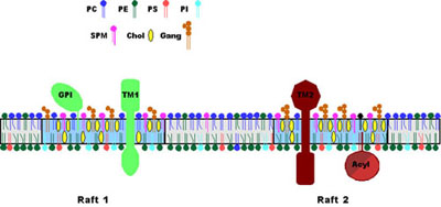 Linda Pike's research