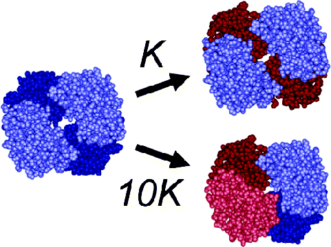 Gary Ackers research