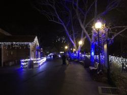 bmb-holiday-2017-00029.jpg