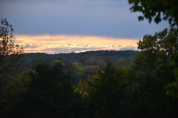 DSC_5430.jpg