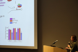 Nicole Fazio - Lohman Lab.JPG