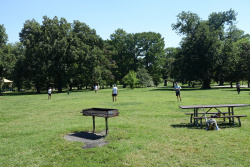 DSC01291.jpg