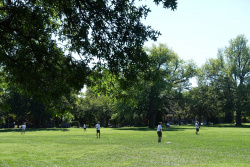 DSC01299.jpg