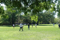 DSC01305.jpg