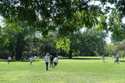 DSC01306.jpg