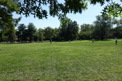 DSC01346.jpg
