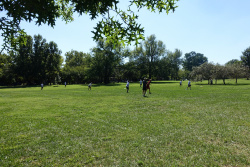 DSC01347.jpg