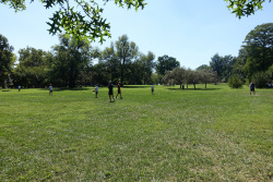 DSC01348.jpg