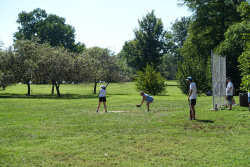 DSC01377.jpg