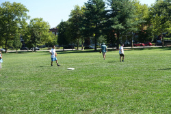 DSC01382.jpg