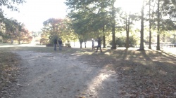 IMAG0654.jpg