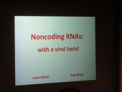 3. Seminar Title.jpg